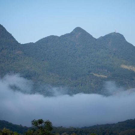 Andardac Hotel Guaramirim Bagian luar foto